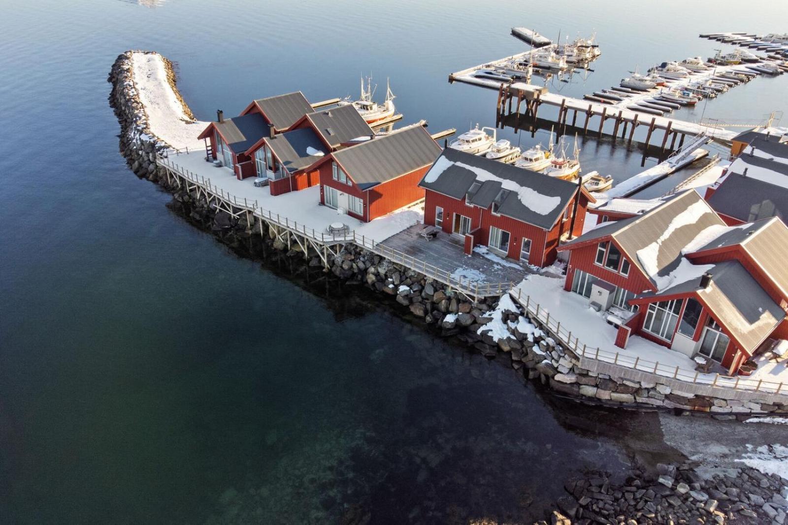Nappstraumen Seafront Cabin, Lilleeid 68 Gravdal  المظهر الخارجي الصورة